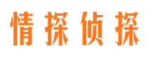 北湖市婚外情调查